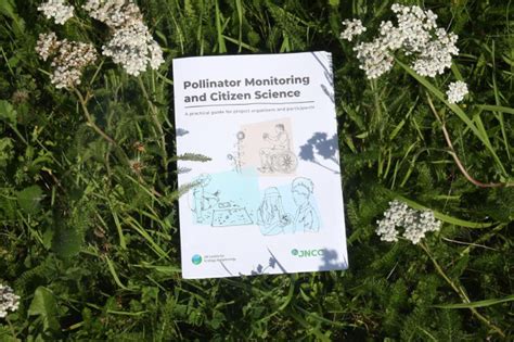 Image result for Scan Sampling Method in Pollinators