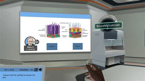 Image result for Gram Stain Virtual Lab