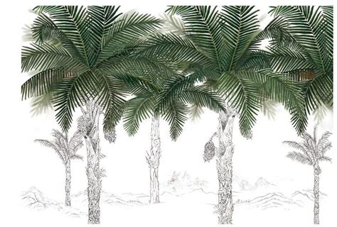 Toradh íomhá ar Hand Painted Palm Tree Diffuse Map Texture