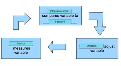 Toradh íomhá ar Computing Ittaration