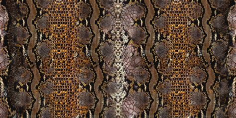 Image result for Python Huid