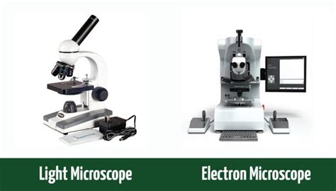 Image result for Light Microscope vs Electron Micrographs