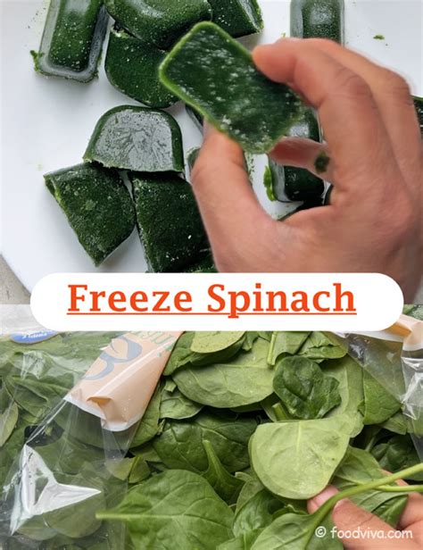 Image result for How to Freeze Spinach Leaves