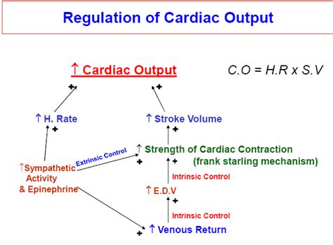 Image result for Cardiac Output Response Surface