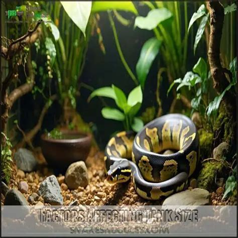 Pet Python Tank に対する画像結果