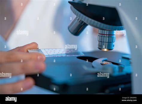 Image result for Simple Microscope Cell Image