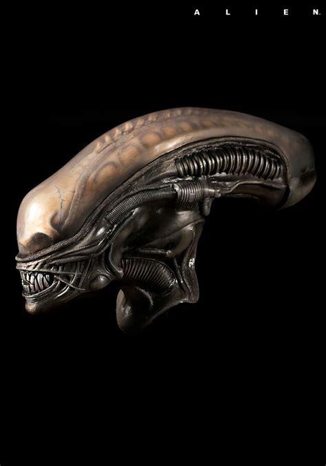 Toradh íomhá ar Alien Covenant Xenomorph Mask