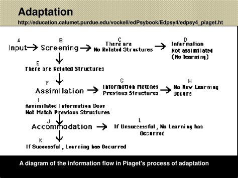 Toradh íomhá ar Cognitin