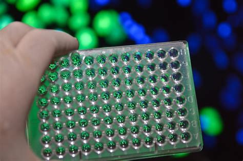 Image result for Medical Genetics