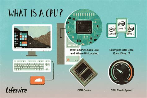 Central Processing Unit (CPU)