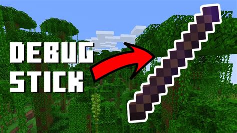 Afbeeldingsresultaten voor Debug Stick Meme