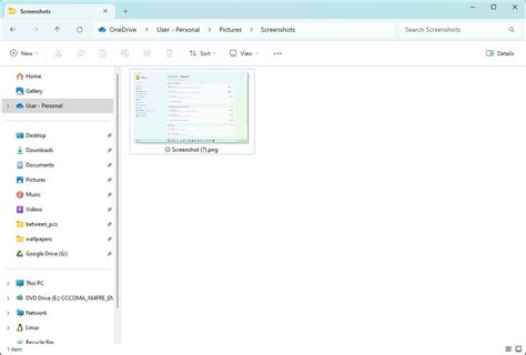Image result for Print Screen Windows 11 Shortcut Key