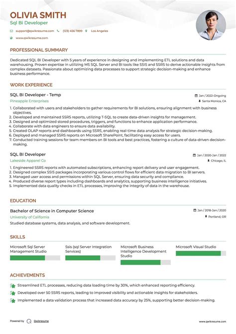 Resume for Power Bi Developer with SQL Server Management Studio に対する画像結果