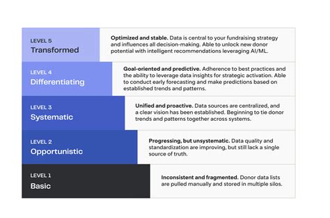 Image result for Data Maturity Model HHS