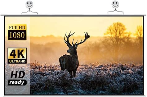 Image result for Widescreen Projector Screen