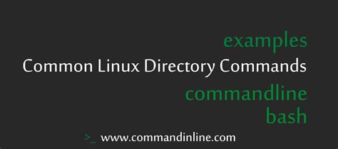 Image result for Linux Disk Commands