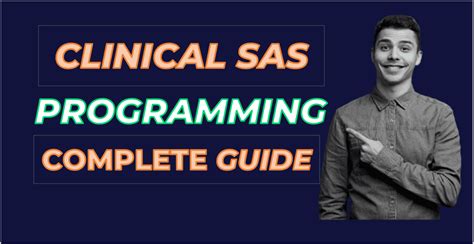 What Is SAS Programming Used For に対する画像結果
