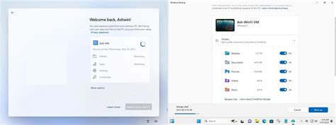 Image result for Windows Back Up and Restore UI