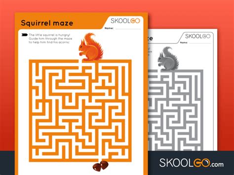 Image result for Squirrel Maze