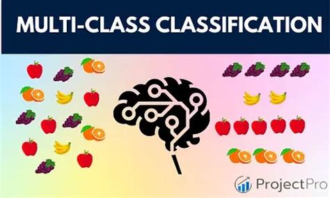 Single Class Multi-Class Classification に対する画像結果