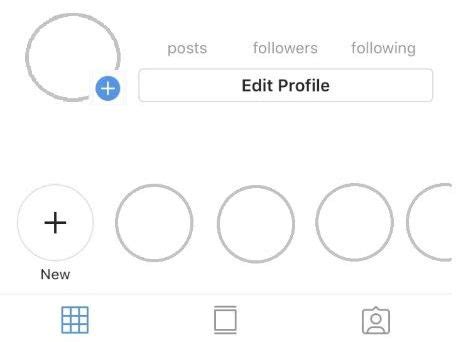 Image result for Blank Instagram Profile