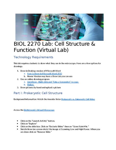 Image result for Virtual Lab Cell Structure