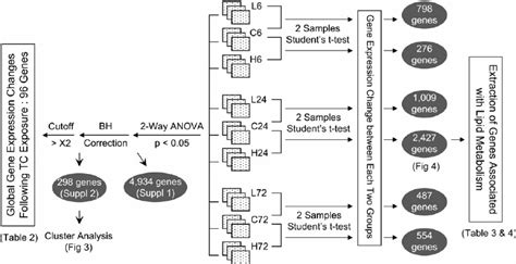 Image result for Microarray Data Analysis Chart