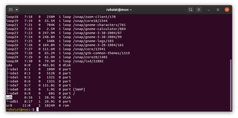 Image result for Linux Terminal Visual Format Disk Utility