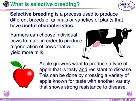 Image result for Different Types of Variation Biology