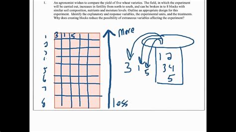 Afbeeldingsresultaten voor Randomized Block Design Example
