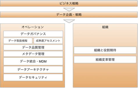 Data Management Program に対する画像結果