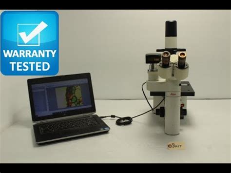 Image result for DMIL LED