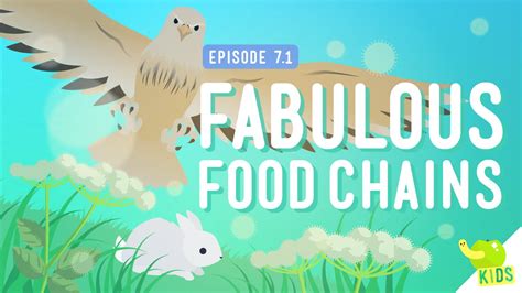 Food Chain Crash Course に対する画像結果