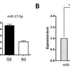 Toradh íomhá ar Array Hybridization