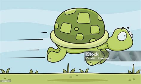 Image result for Turtle Draw Fast
