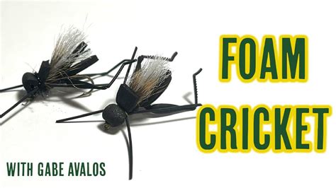 Image result for Cricket Dry Fly Pattern