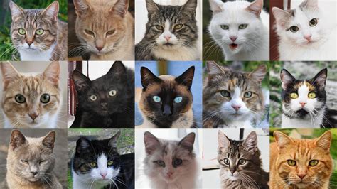 Image result for TreeView Power Apps