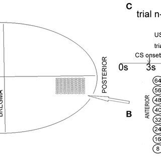 תוצאת תמונה עבור Electrode Array Device