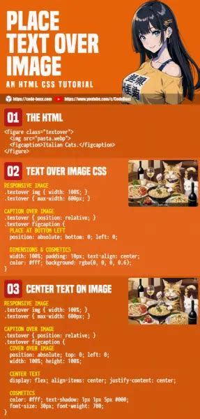 Image result for Position in CSS Text Image