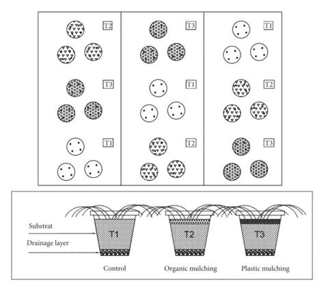Image result for Experimental Design Randomized Block