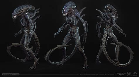 Image result for Alien Xenomorph Anatomy
