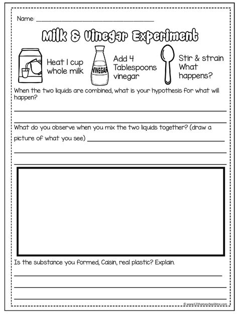 Afbeeldingsresultaten voor Science Experiment Example Worksheet for Class 8