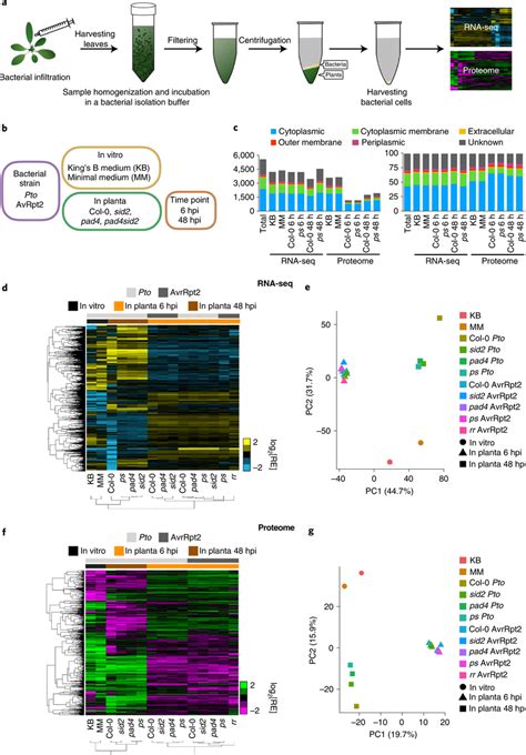 Image result for Plant Transcriptomics