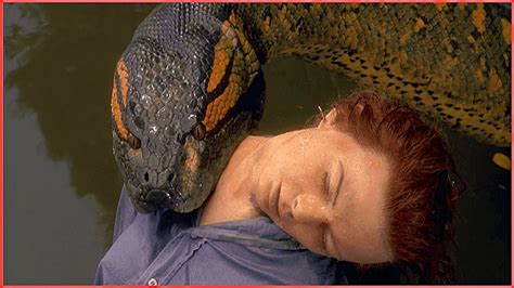 Python Attacks On Humans に対する画像結果