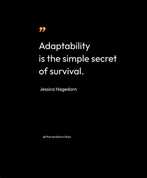 Image result for Inspect and Adapt Qoutes