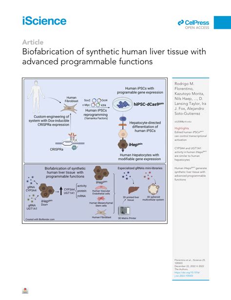Image result for Synthetic Human Tissue