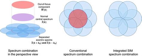 Image result for Spectrum SimVision
