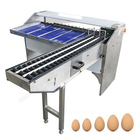 Image result for Egg Sorting Machine Design
