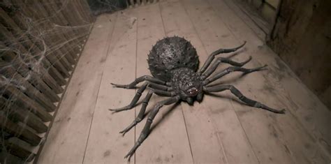 Toradh íomhá ar Remote Control Spider