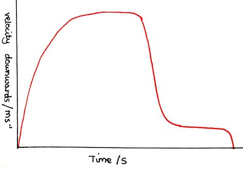 Terminal Velocity Displacement Time Graph に対する画像結果